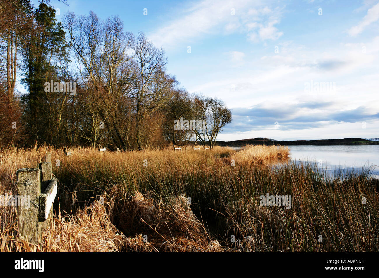Moody formato paesaggio immagine di Loch di Skene vicino a Aberdeen Scotland Foto Stock