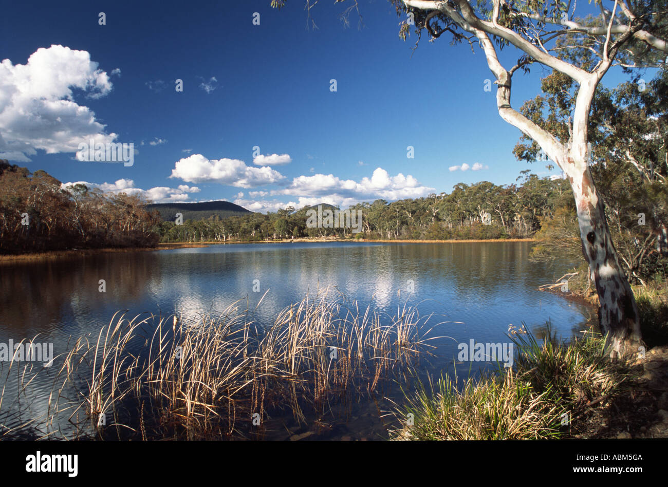 Dominano il paesaggio dal lago a Dunn's Swamp, parte del vasto deserto che è australiano di Wollemi National Park. Foto Stock