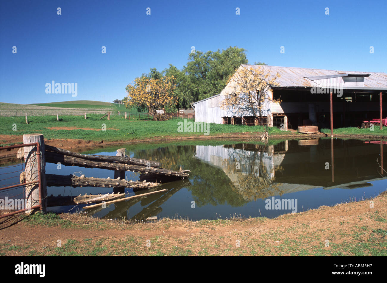 Paesaggio rurale con riflessioni in una fattoria australiana dam creando una scena di tranquillità rurale Foto Stock