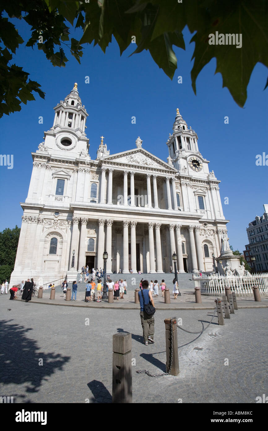 Cattedrale di Saint Paul, Londra; incorniciato con alberi Foto Stock