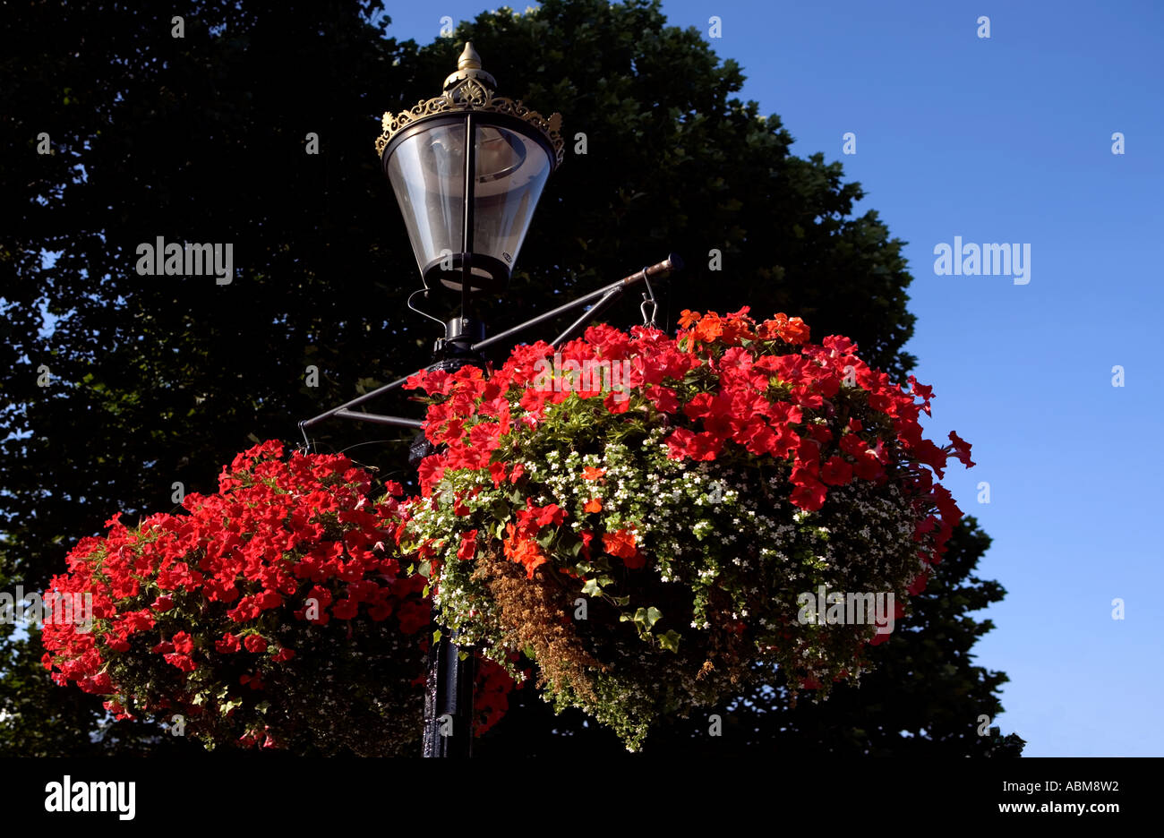 St Katherine's Dock, Londra - Luoghi da visitare. Fiori attraente sotto il sole sulla lampada standard Foto Stock