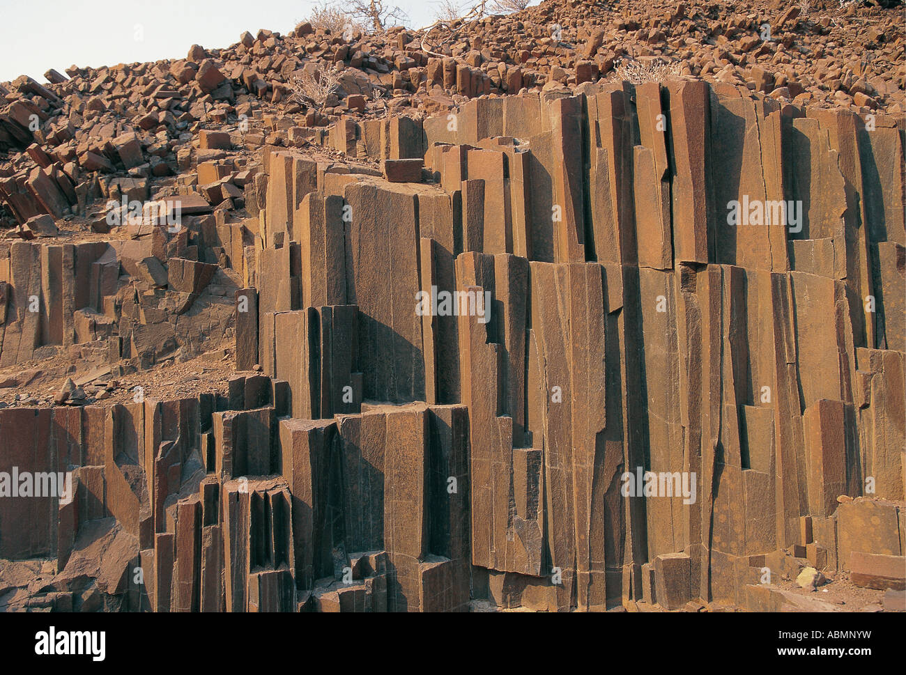 Organo a canne shale rock formazione risalente a circa 120 metri di anni di Damaraland Twyfelfontein Namibia Foto Stock