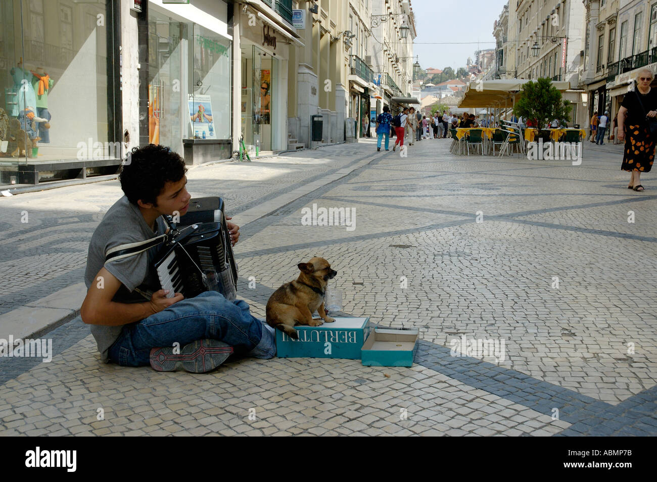 Busker con fisarmonica e piccolo cane Baixa Lisbona Portogallo Foto Stock