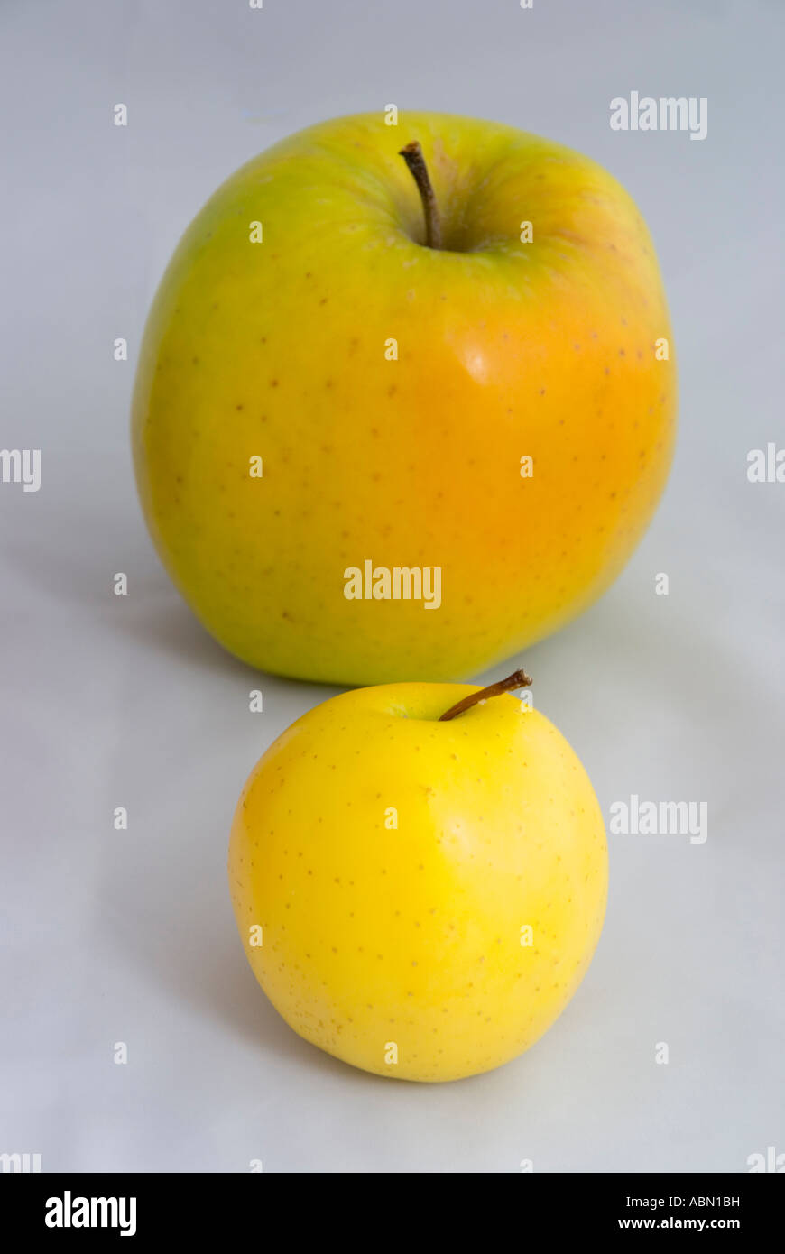 Differenze nella dimensione di varietà di mele Foto Stock