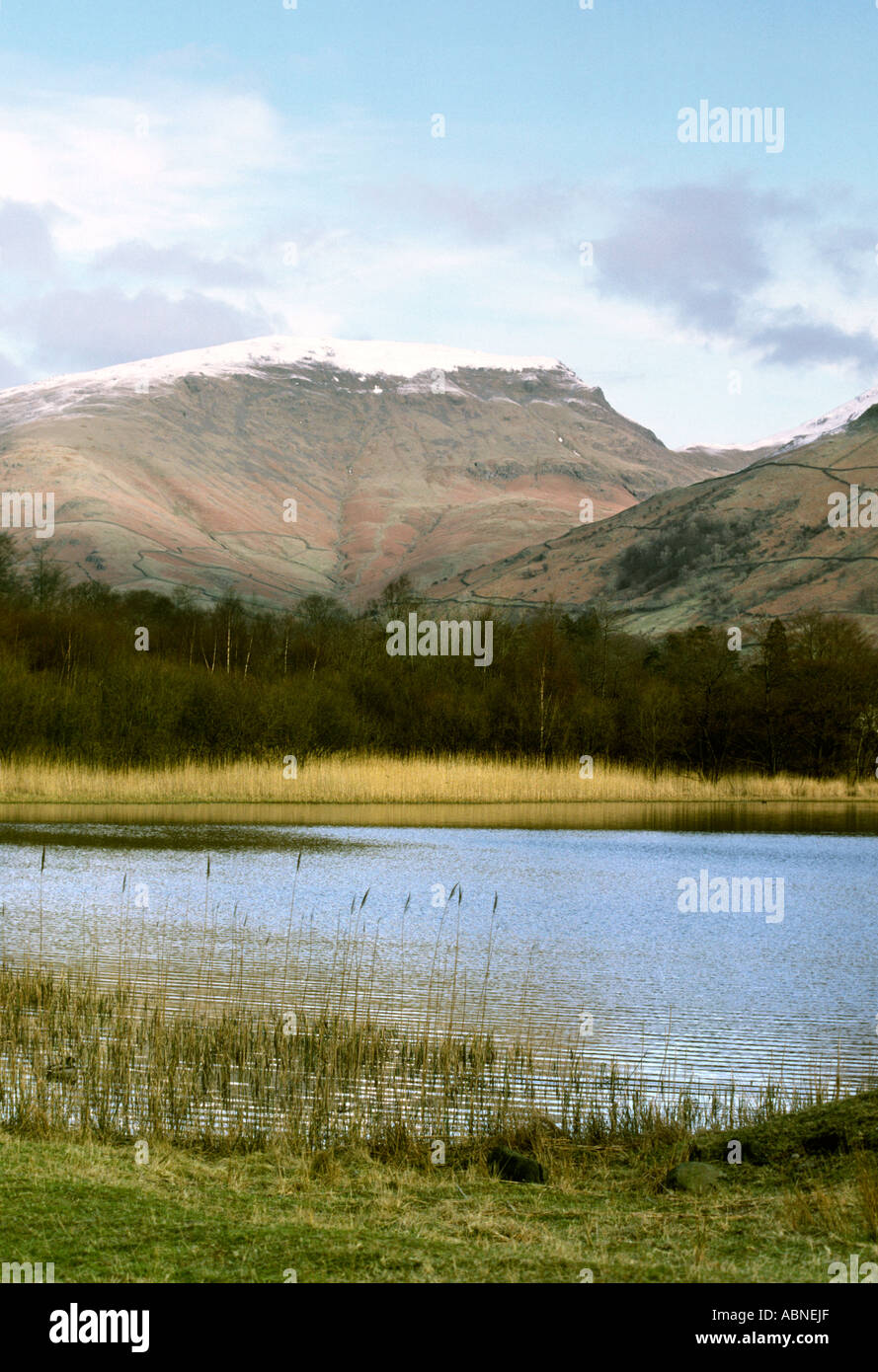 Cumbria Grasmere e Helvellyn Foto Stock