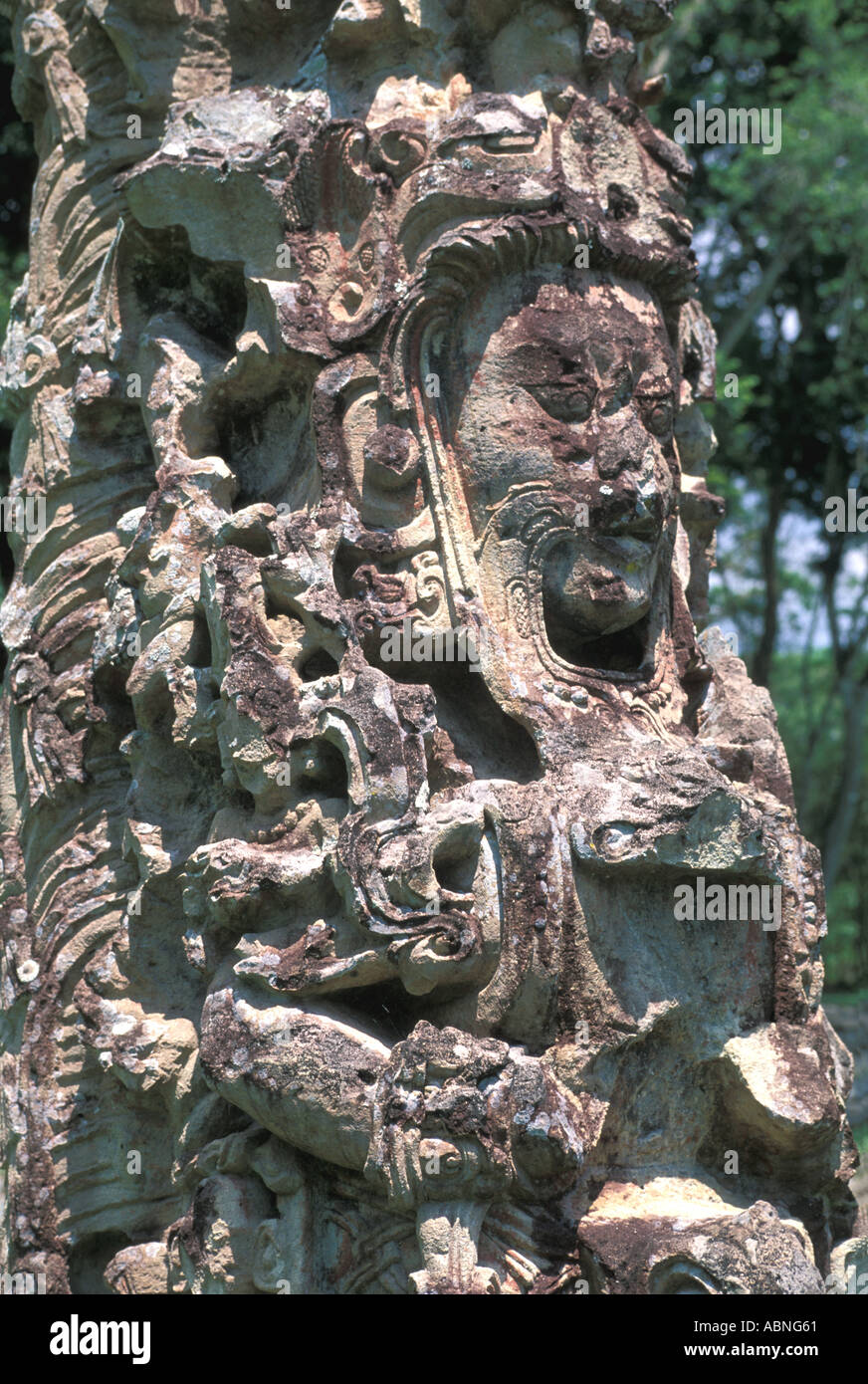 Honduras Copan Ruinas grande Plaza Stela F Maya Maya di arte e scultura Foto Stock