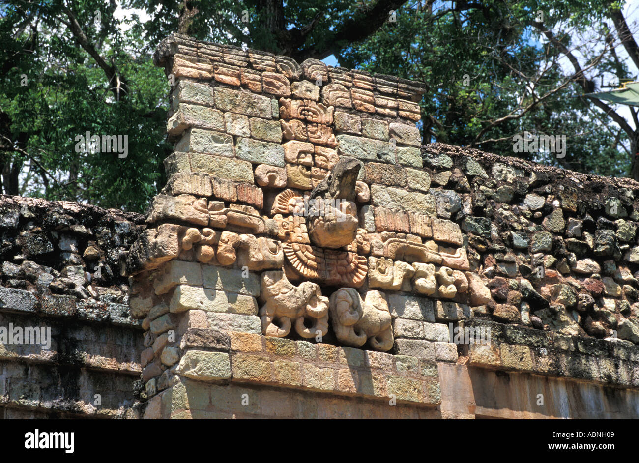 Honduras Copan Ruinas rovine Maya palla con testa di pappagallo di scarlet macaw, ora l'uccello nazionale di Honduras Foto Stock