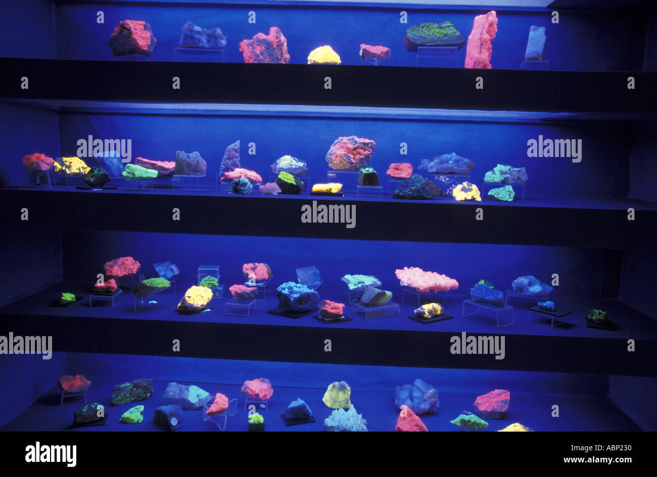 Minerali fluorescenti Foto Stock