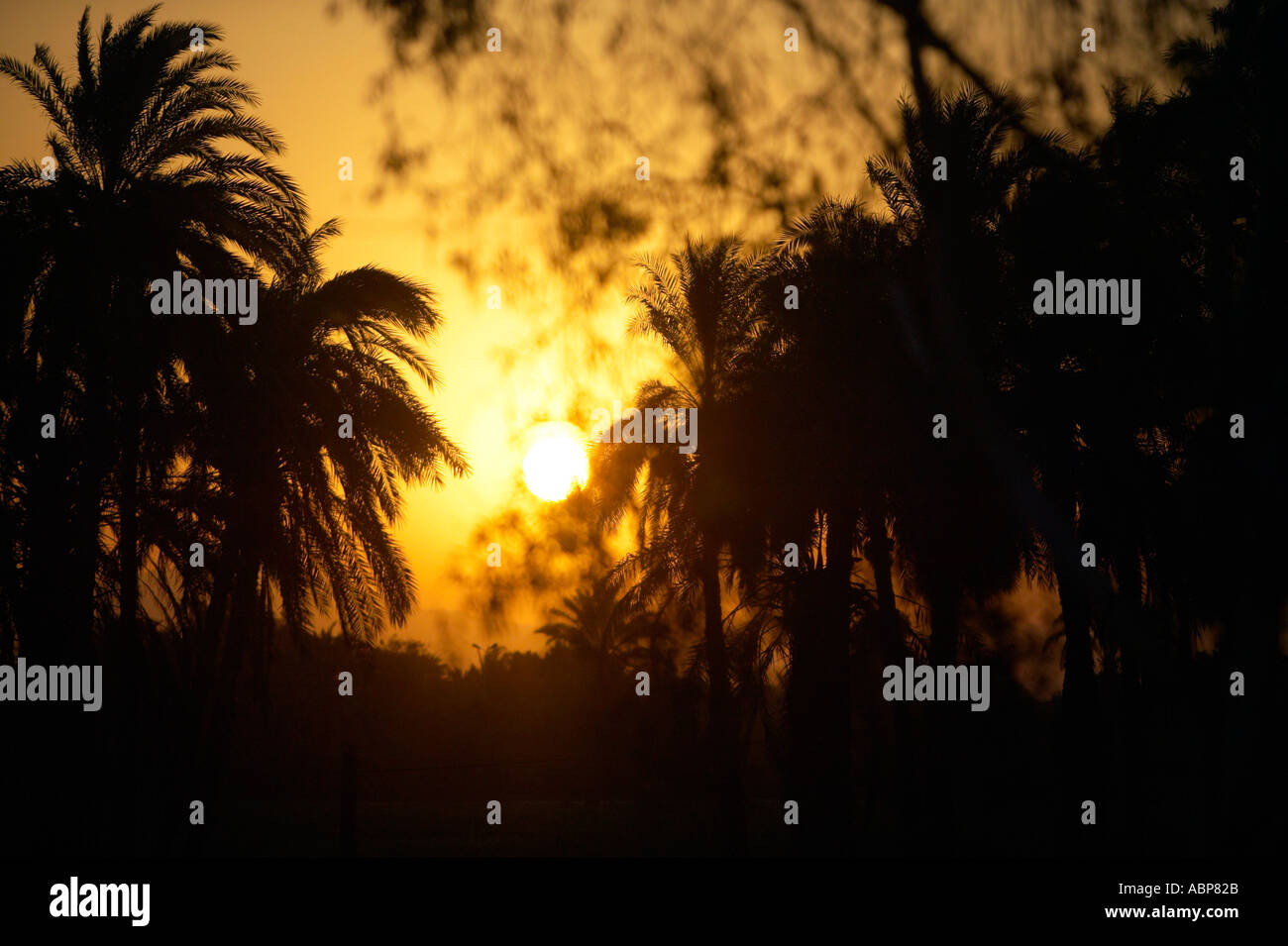 Sunrise dal Cairo Aswan treno Foto Stock