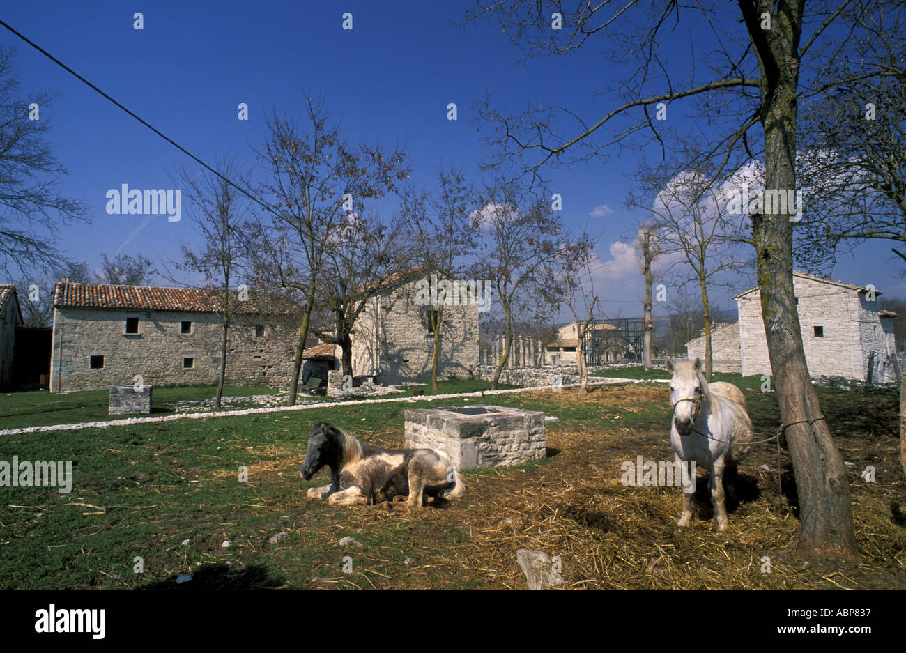 Altilia area archeologica Foto Stock