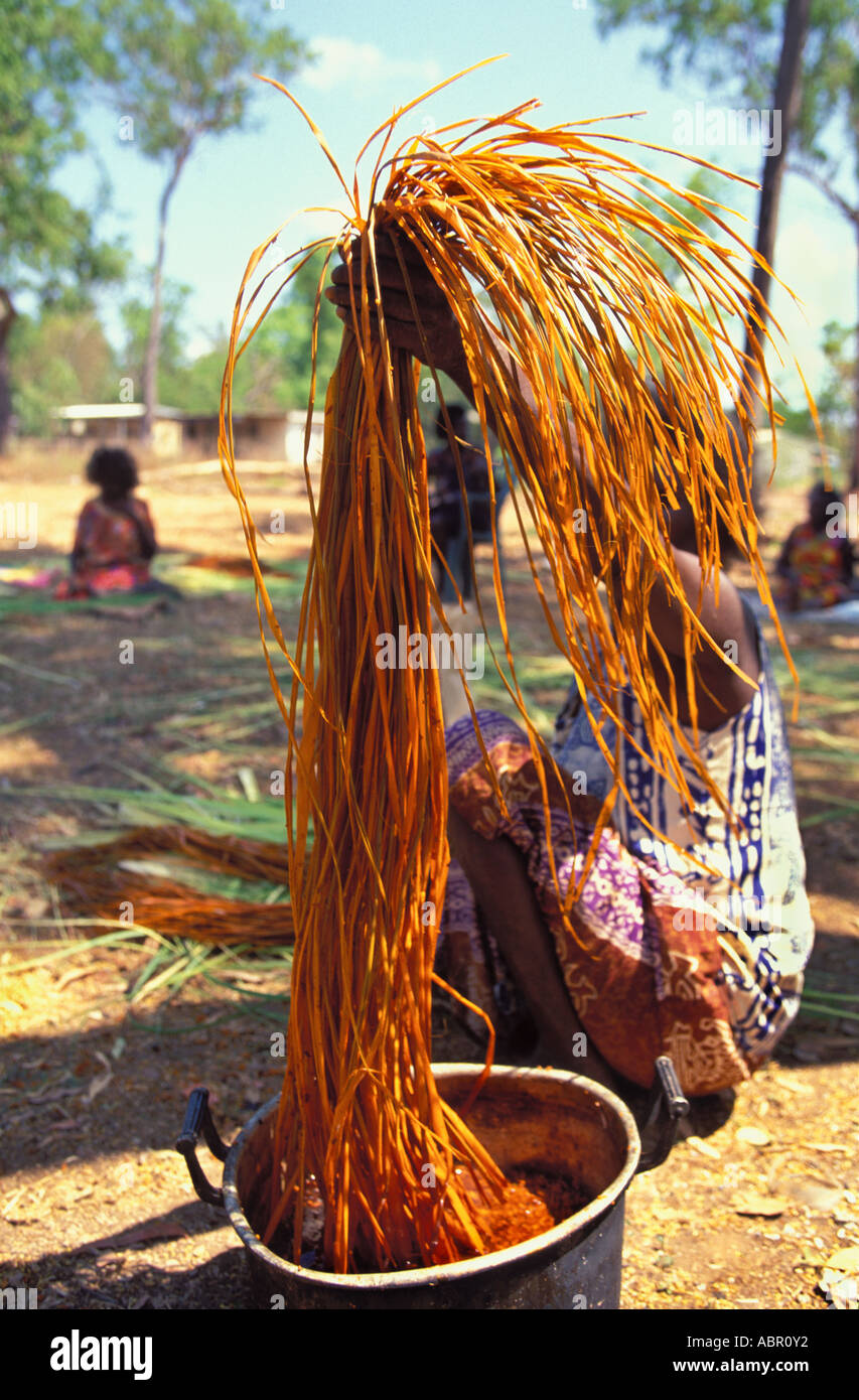 Le donne aborigene colorante fibra pandanus per la tessitura di Arnhem Land Foto Stock