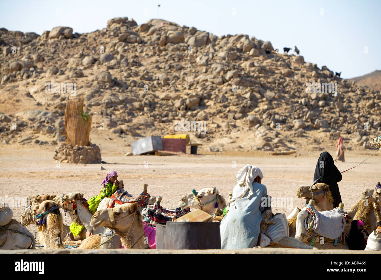 Campo Beduino nel Sahara Deserto Deserto vicino a Hurghada Wüstentour Hurghada Egitto Foto Stock