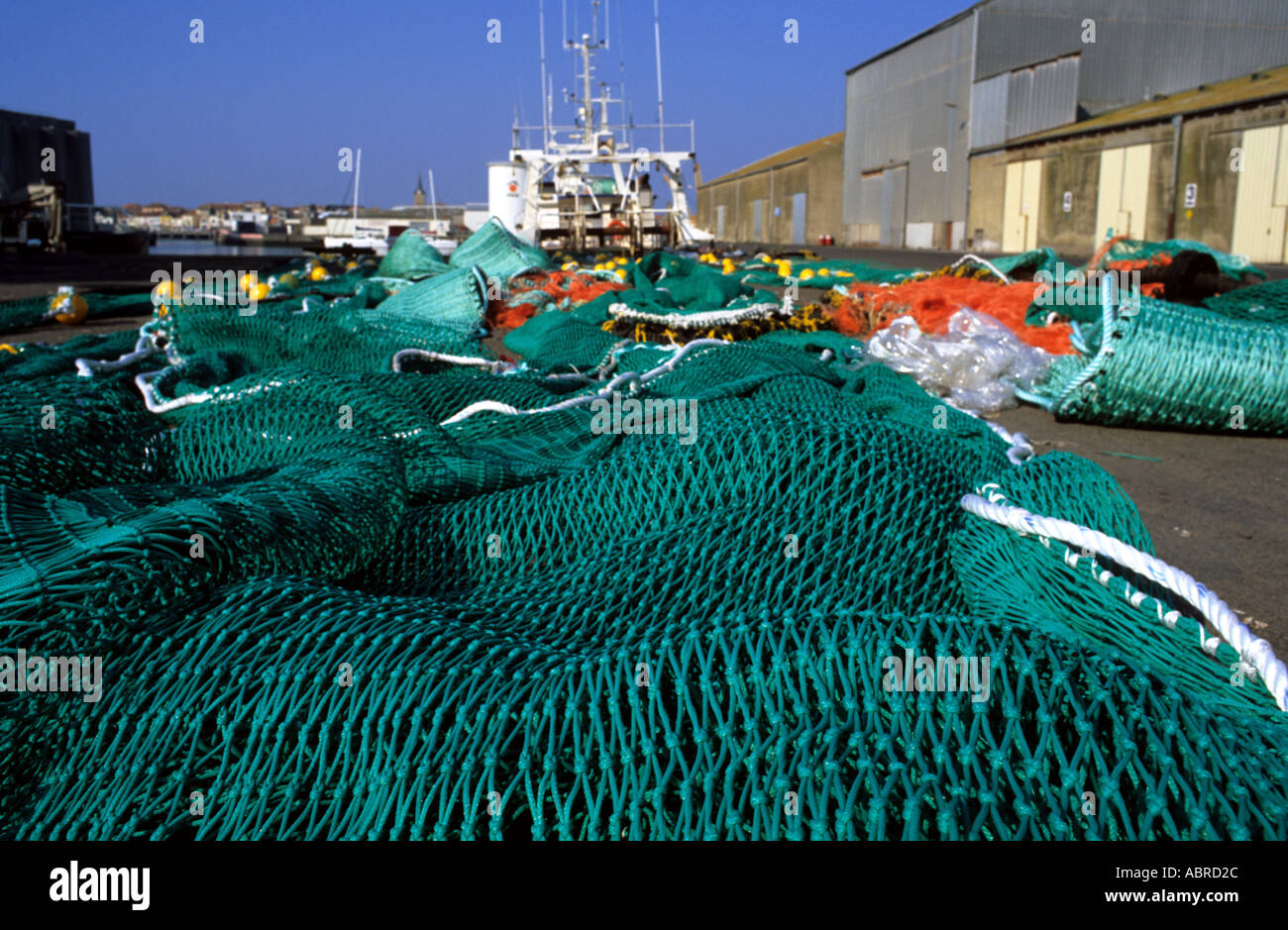 Rete di pesce in un porto Foto Stock