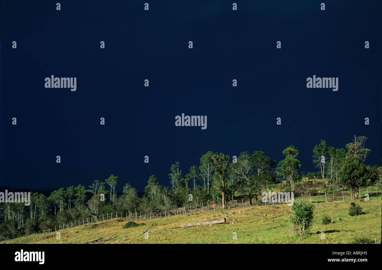 Tempestoso skyline Foto Stock