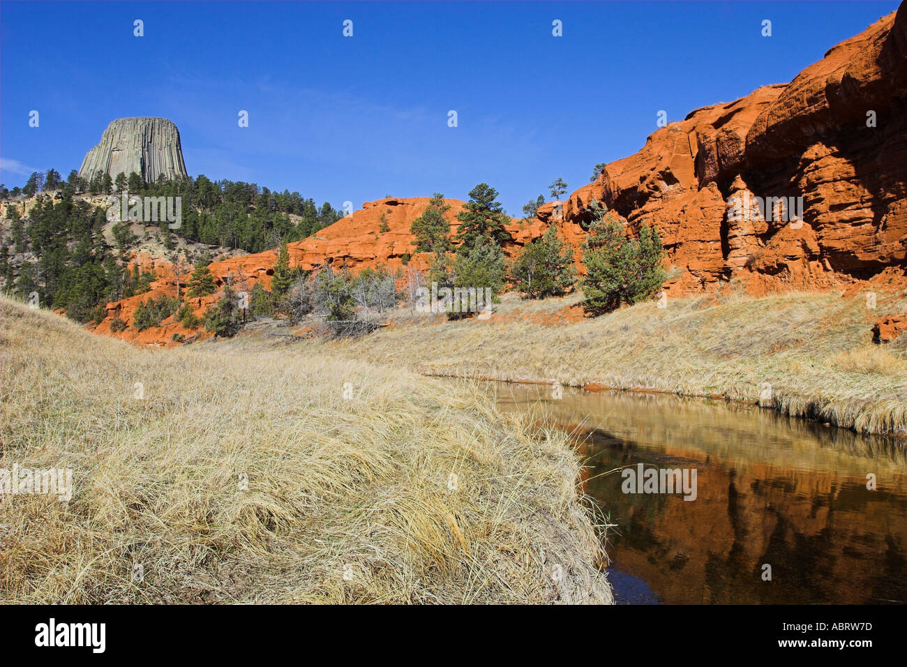 Devils Tower monumento nazionale nel nord-est del Wyoming Foto Stock