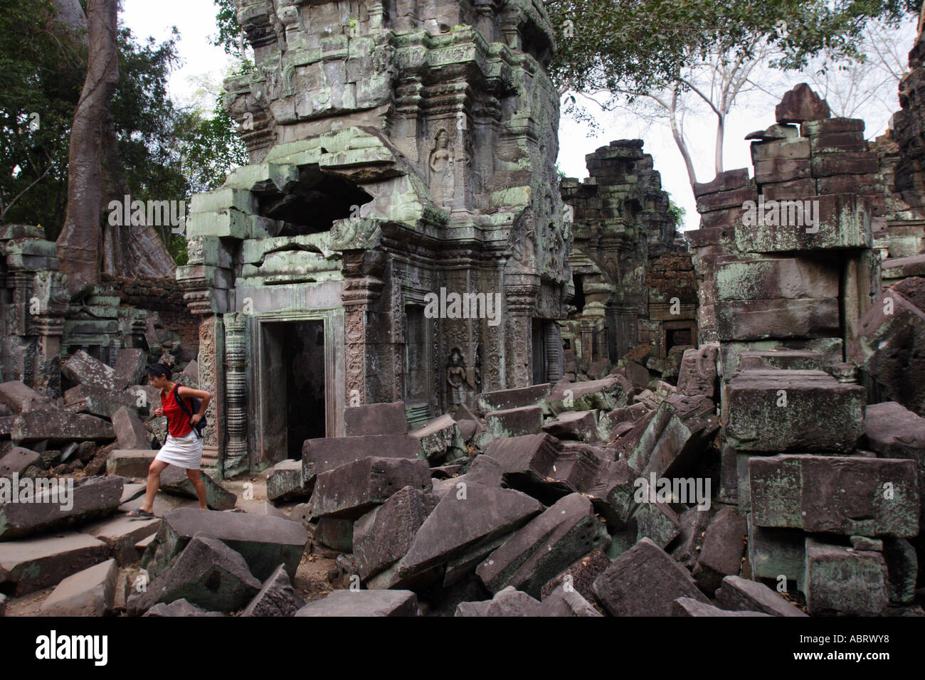 Le rovine di Ta Prohm tempio di Angkor, Cambogia. Foto Stock