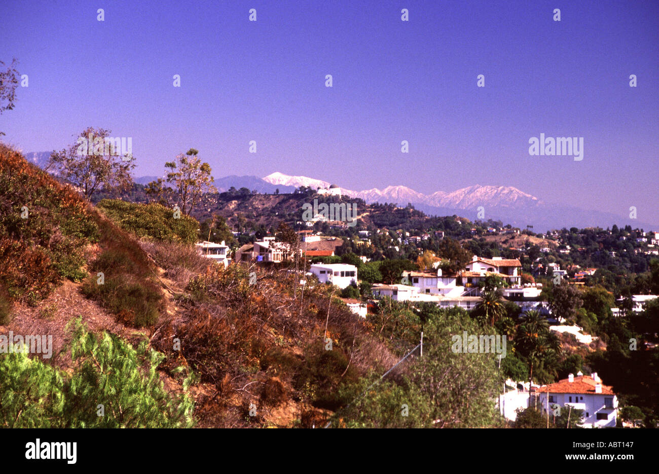 Vista di East Los Angeles dalla Griffith Observatory con Snow capped montagne di San Gabriel in vista Foto Stock