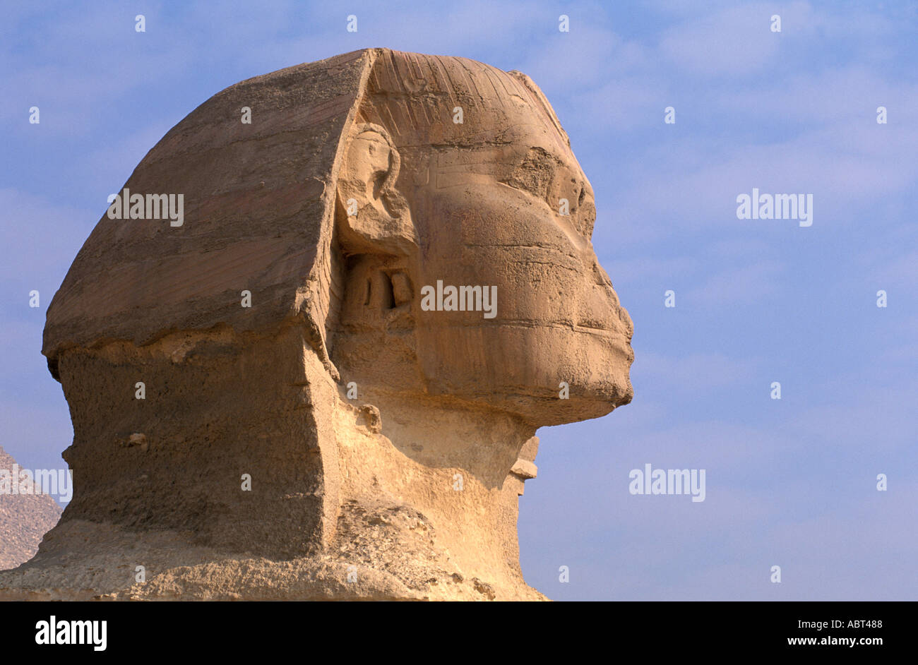 Egitto Giza Testa della Sfinge Foto Stock