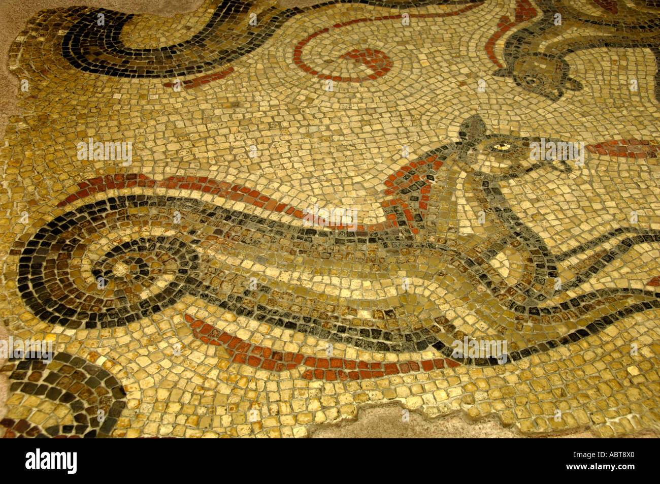 Romano bestie di mare Bagno in mosaico Somerset Inghilterra Foto Stock