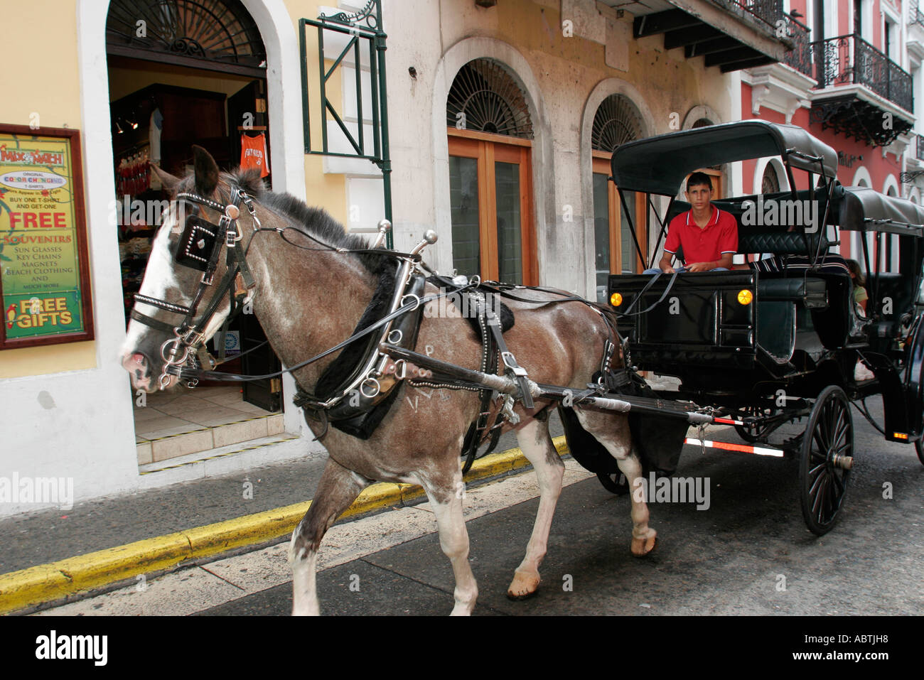 Portorico,Rican,Isola dei Caraibi,Antille grandi Vecchia San Juan,capitale,Plaza de Armas,carrozza trainata da cavalli,spagnolo ispanico,uomo maschio,autista Foto Stock