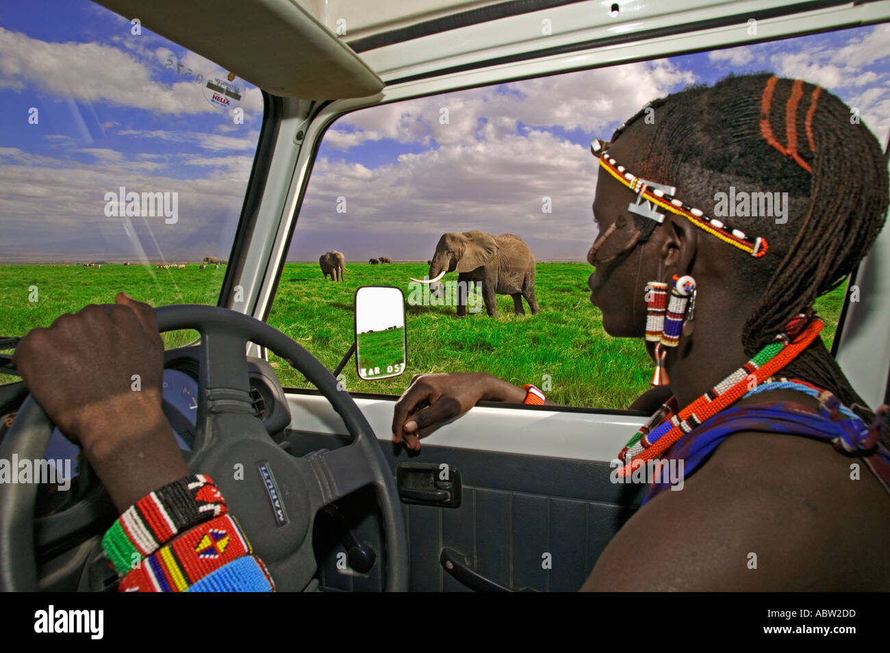 Popolo Maasai Maasai guida nel veicolo guardando elephant Modello rilasciato nei pressi del Parco Nazionale Amboseli Kenya Foto Stock
