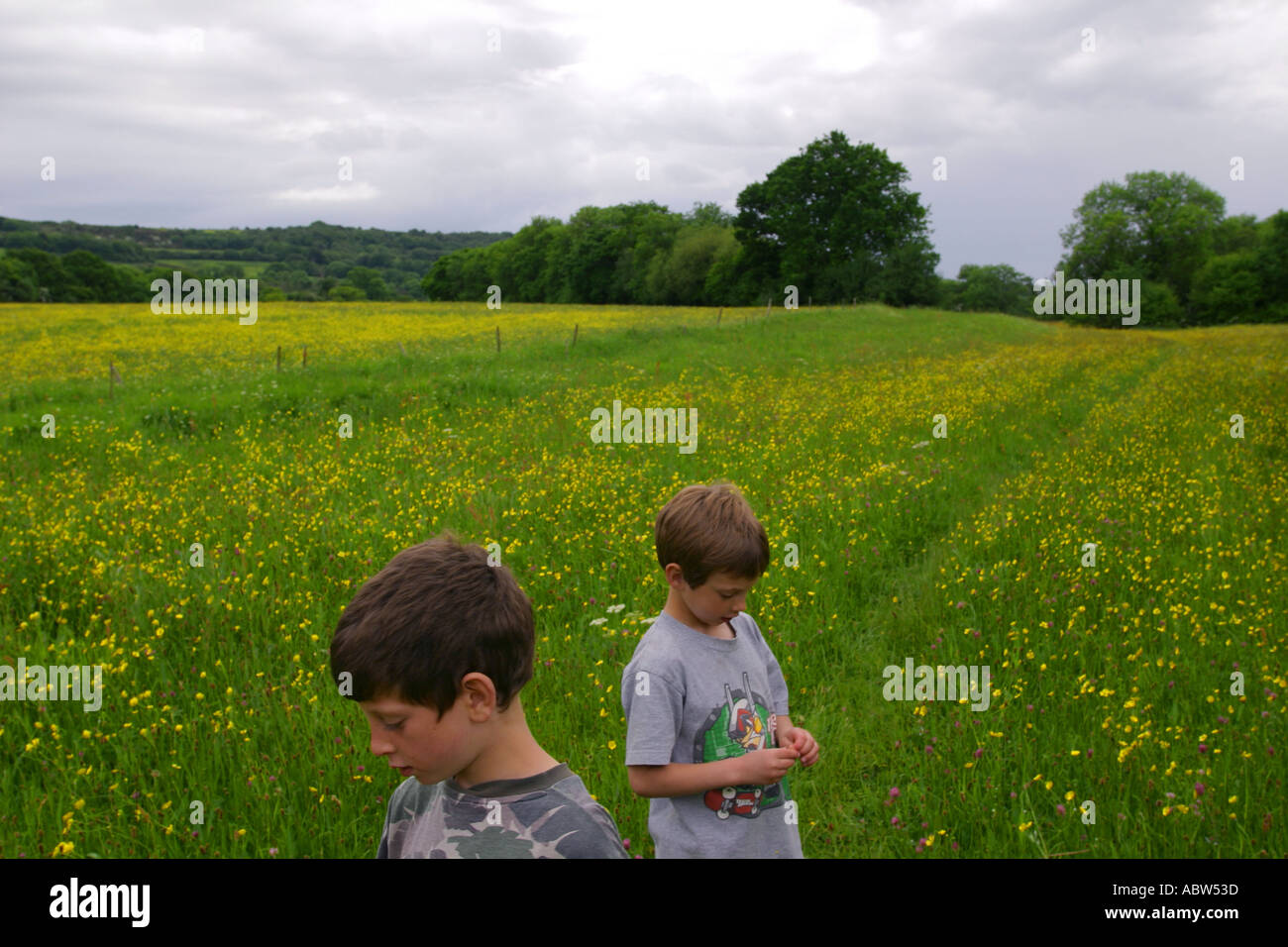 Due ragazzi in un campo nel Dorset durante l'estate, UK. Foto Stock