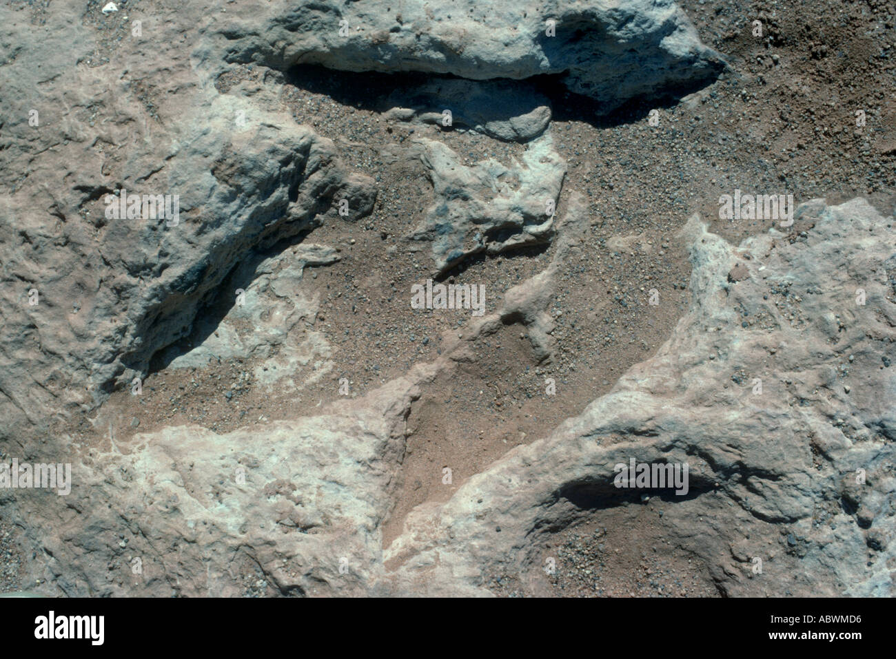 Footprint di dinosauri, Nord Arizona, Stati Uniti d'America Foto Stock