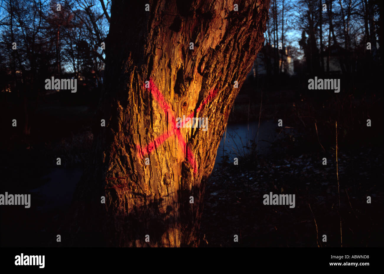 Un albero con un segno x berlin Foto Stock