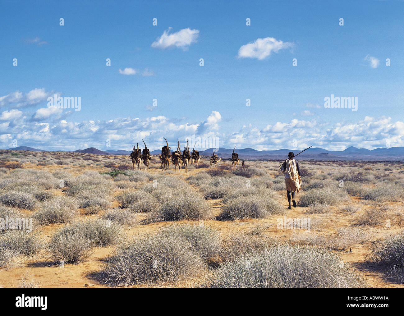 Gabbra le persone con i loro cammelli durante la migrazione Foto Stock