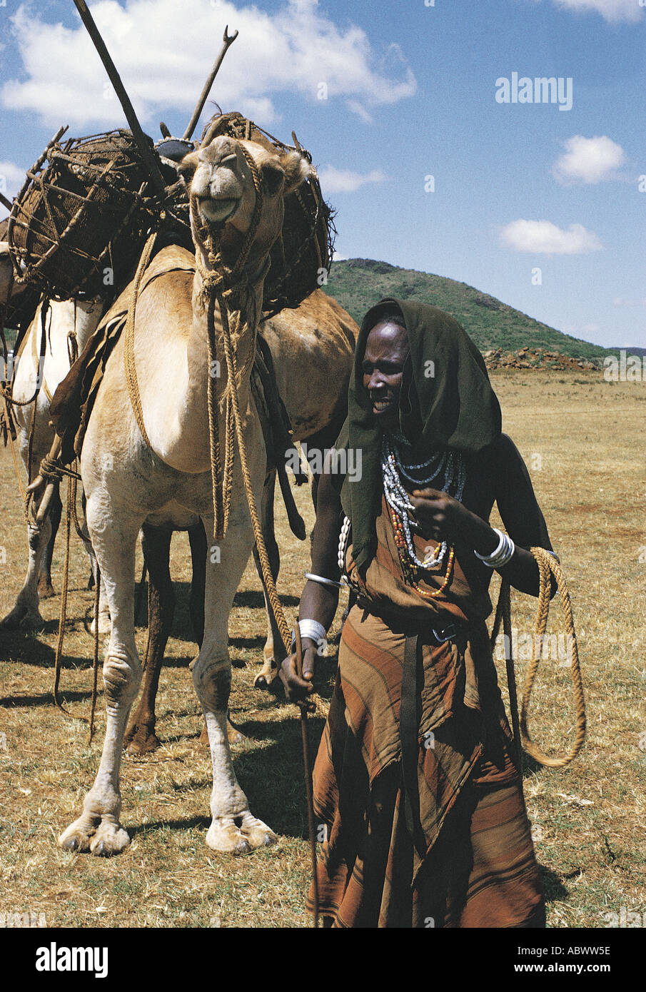 Gabbra donna con cammello sulla montagna di Marsabit nel nord del Kenya Africa orientale Foto Stock
