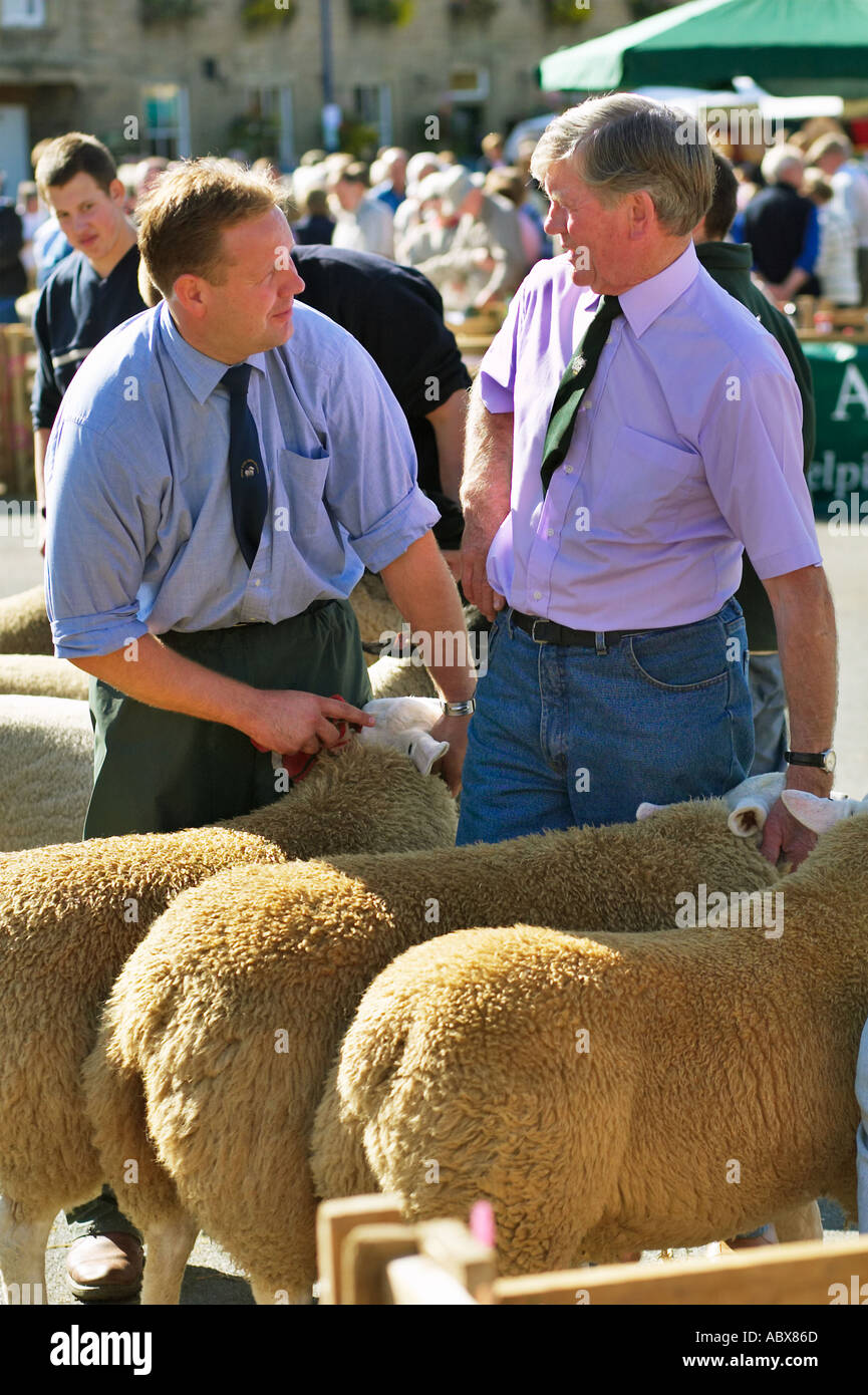 I giudici a giudicare le pecore a Masham ovini Fiera, Yorkshire, Inghilterra, Regno Unito Foto Stock