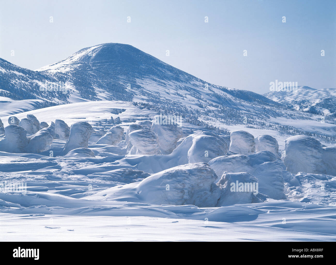 Neve montagna rivestita Foto Stock
