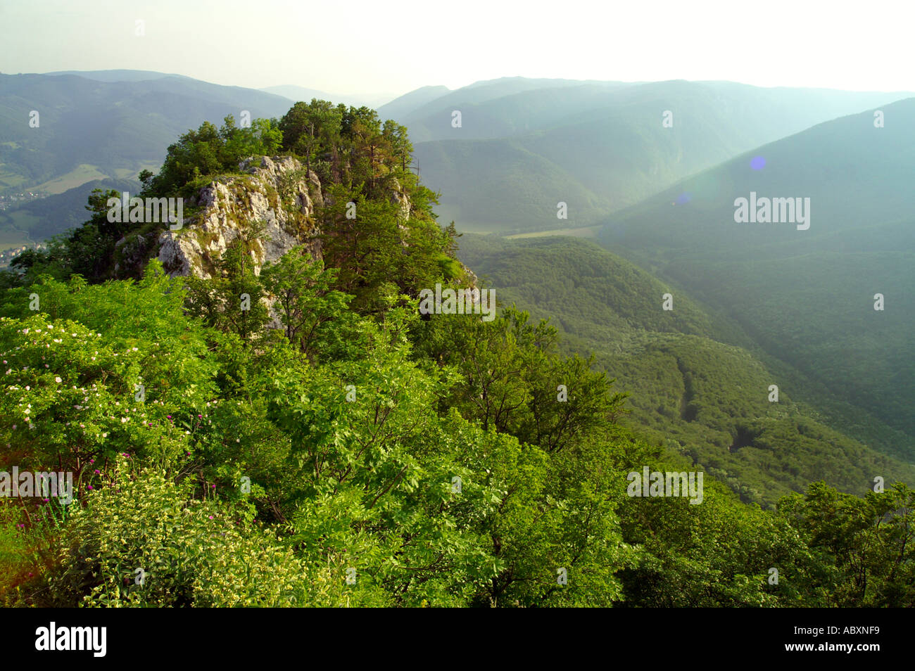 Ciganka Cliff di Muran Plateau parco nazionale in Slovacchia, molla Foto Stock