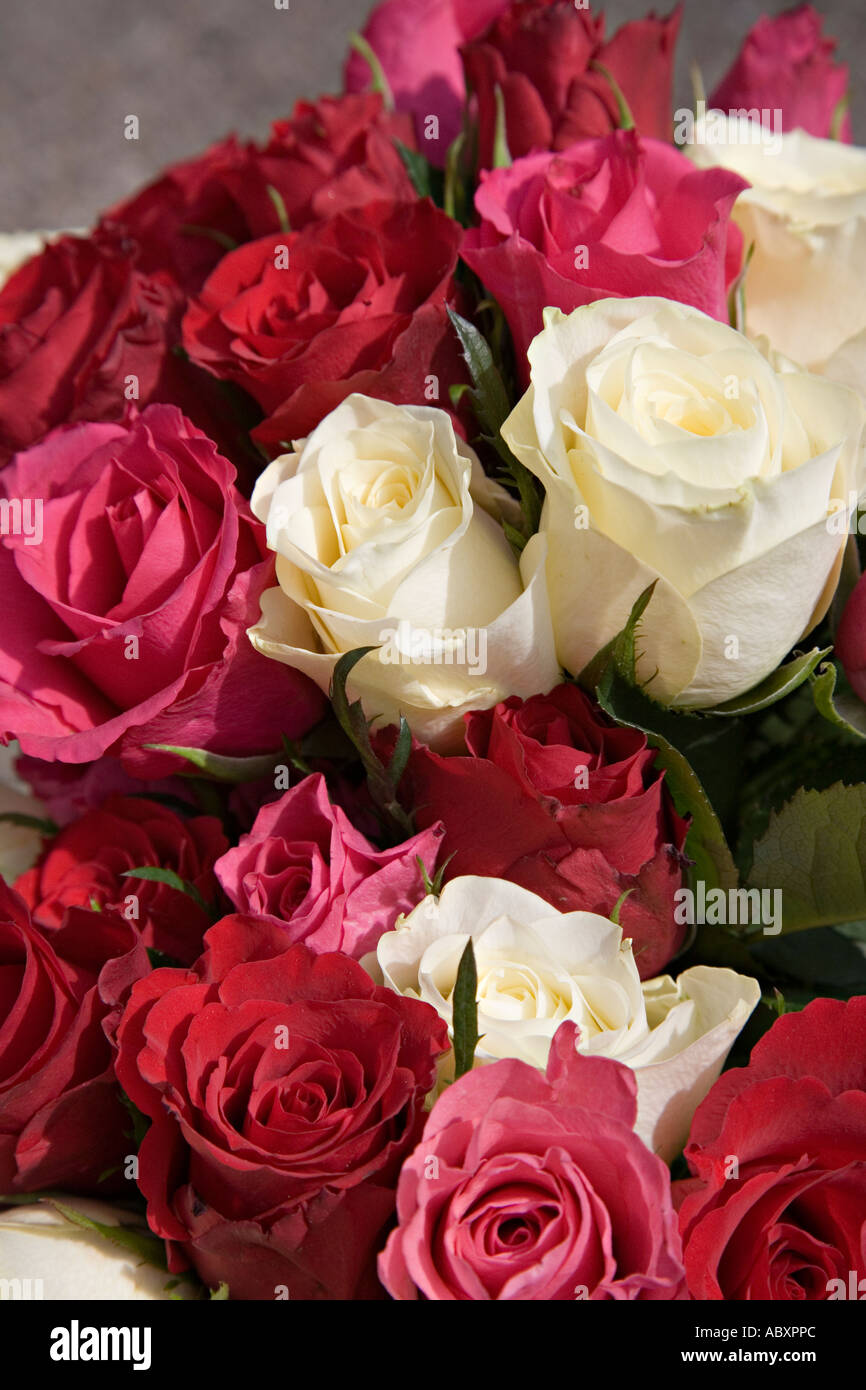 Rosso e rose bianche nel mazzo di nozze Foto Stock