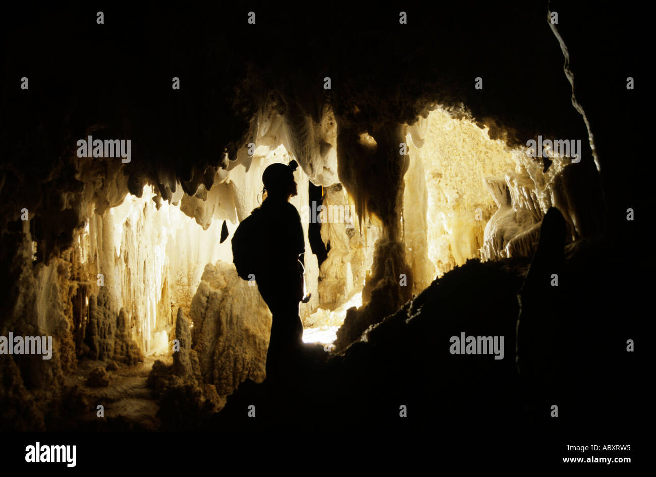 Femmina speleologo guardando le stalattiti nel Nuovo Messico Camera parco nazionale di Carlsbad Cavern Nuovo Messico USA Foto Stock