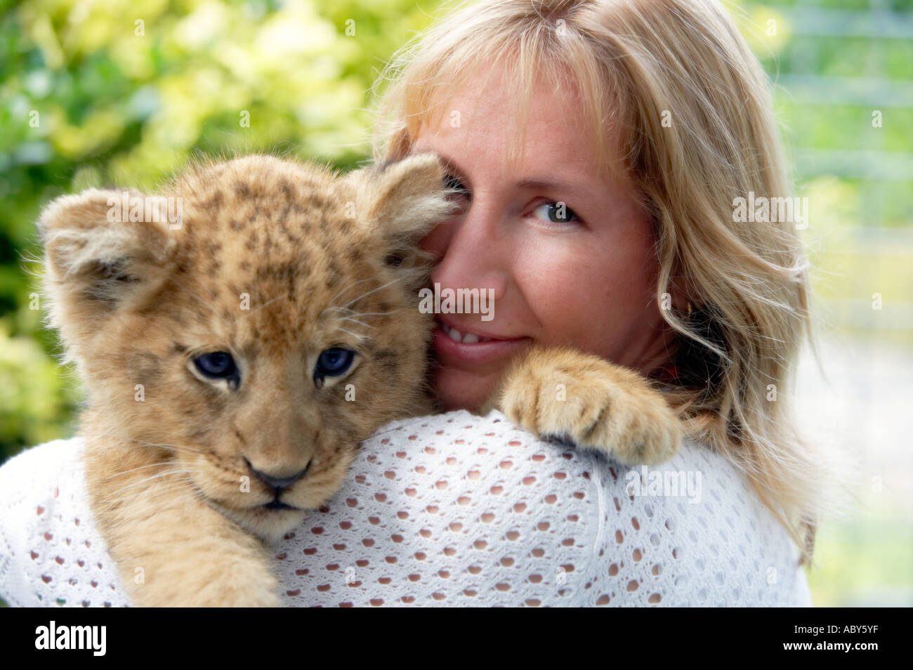 Donna che gioca con 9 settimana old LION CUB Paradise Valley Rotorua Nuova Zelanda Modello rilasciato Foto Stock