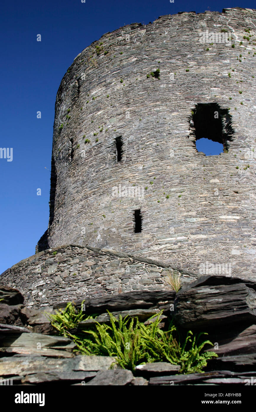 Dolbadarn Castle in Galles Llanberis Foto Stock