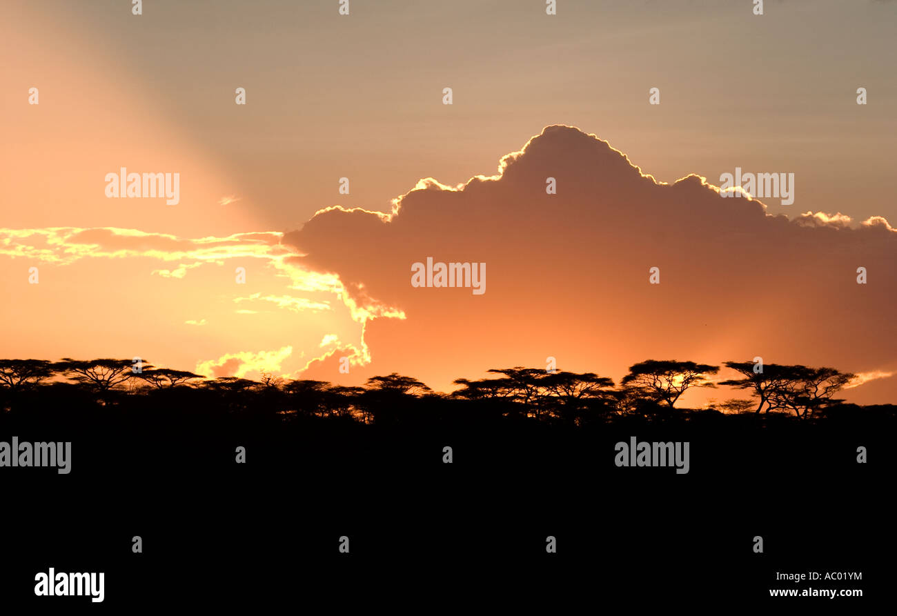 Serengeti Sunset Foto Stock