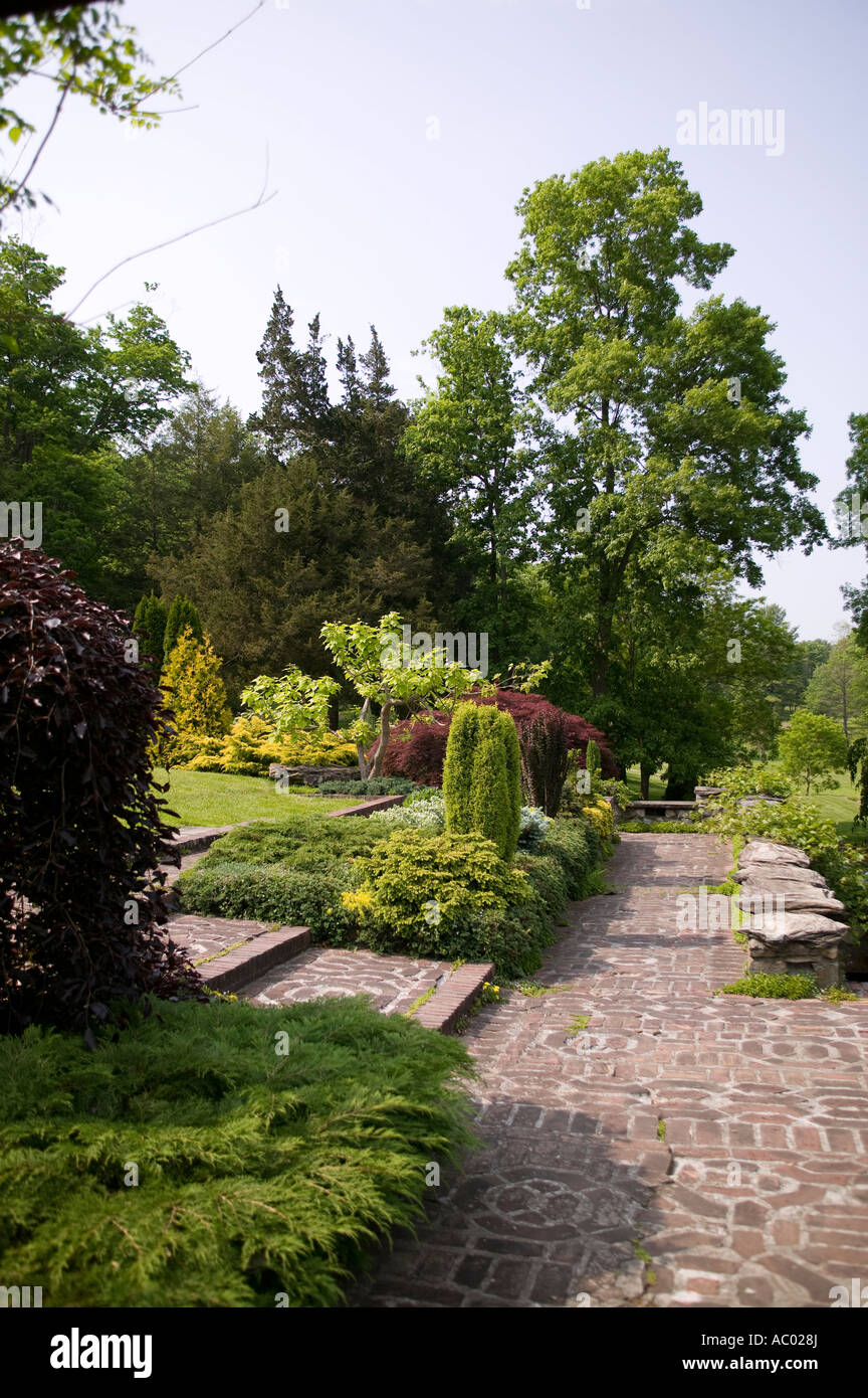 Un giardino Foto Stock