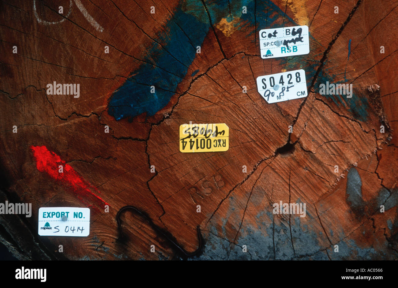Problemi di conservazione della foresta pluviale di taglio di tronchi per esportare in Malesia Foto Stock