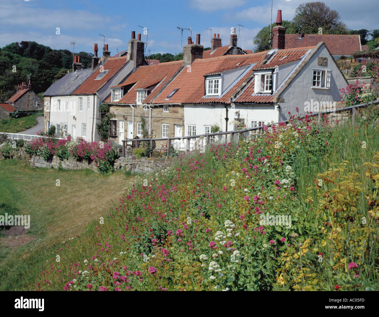 Banca di fiori selvatici e la fila di pittoreschi cottage in pietra; Sandsend Village, vicino a Whitby, North Yorkshire, Inghilterra, Regno Unito . Foto Stock