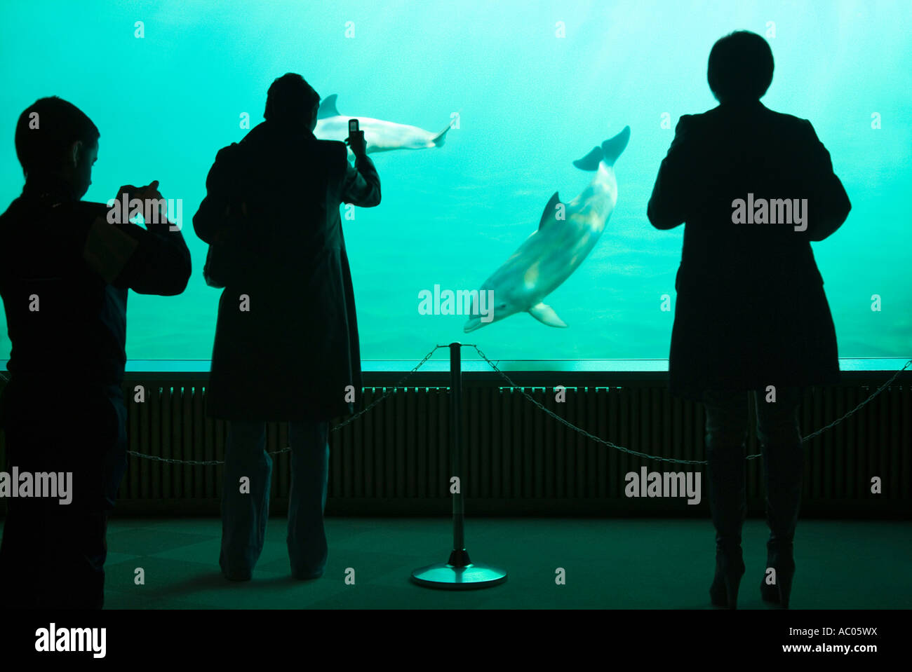 Acquario Valencia Spagna Foto Stock