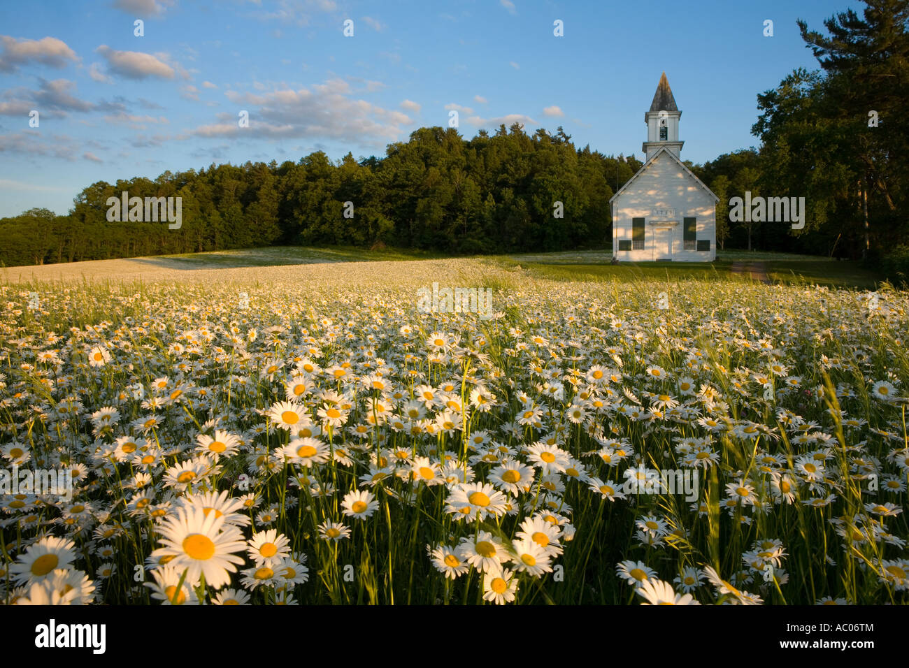 Campo di margherite bianco circondano il castello indiano chiesa costruita da Sir William Johnson Herkimer County Upstate New York Foto Stock