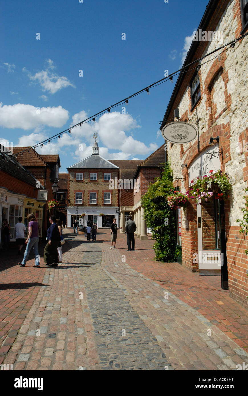 Lion e di agnello cantiere Farnham Surrey Foto Stock