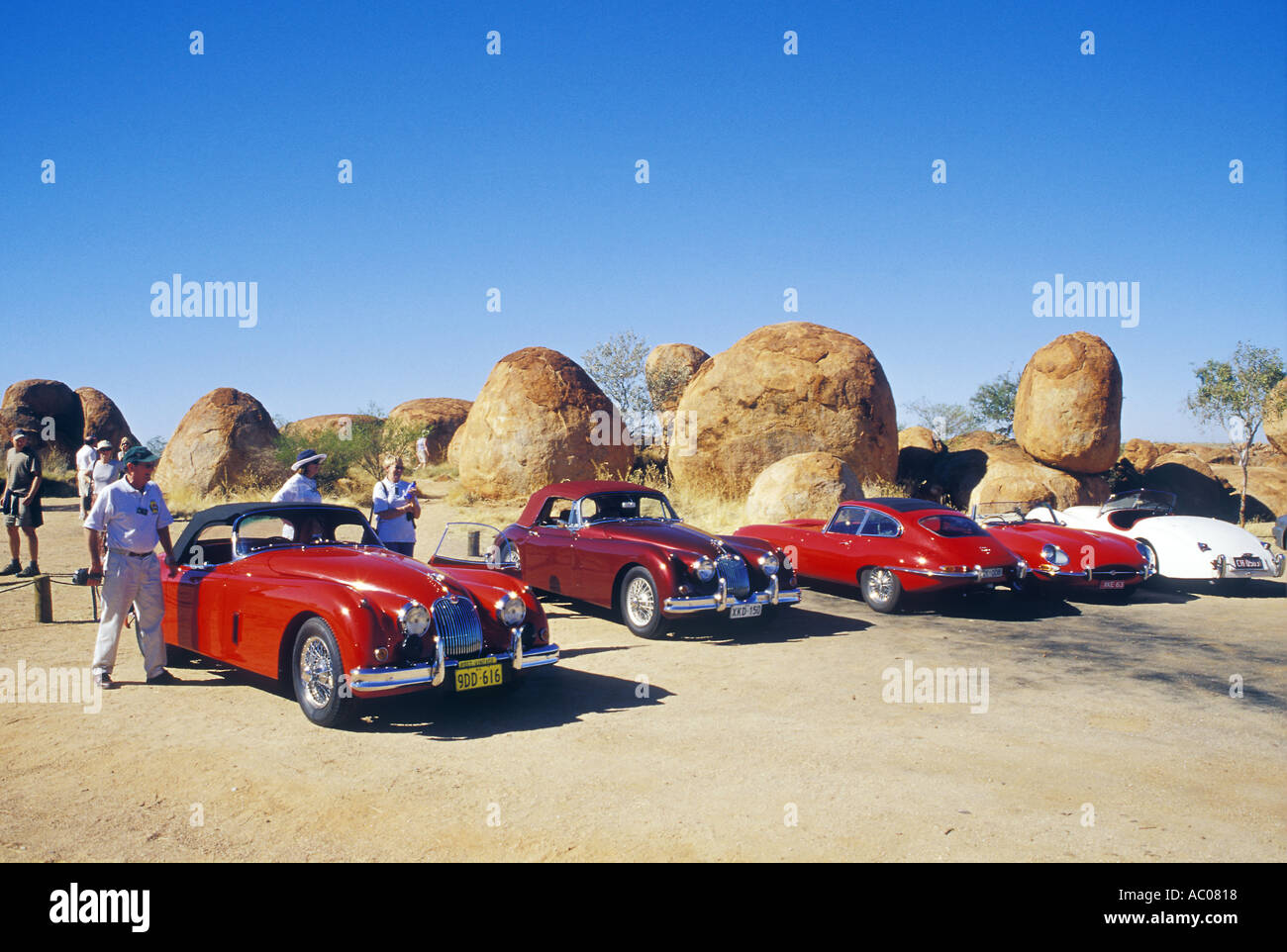Vintage Jaguar cars Territorio del Nord Australia Foto Stock