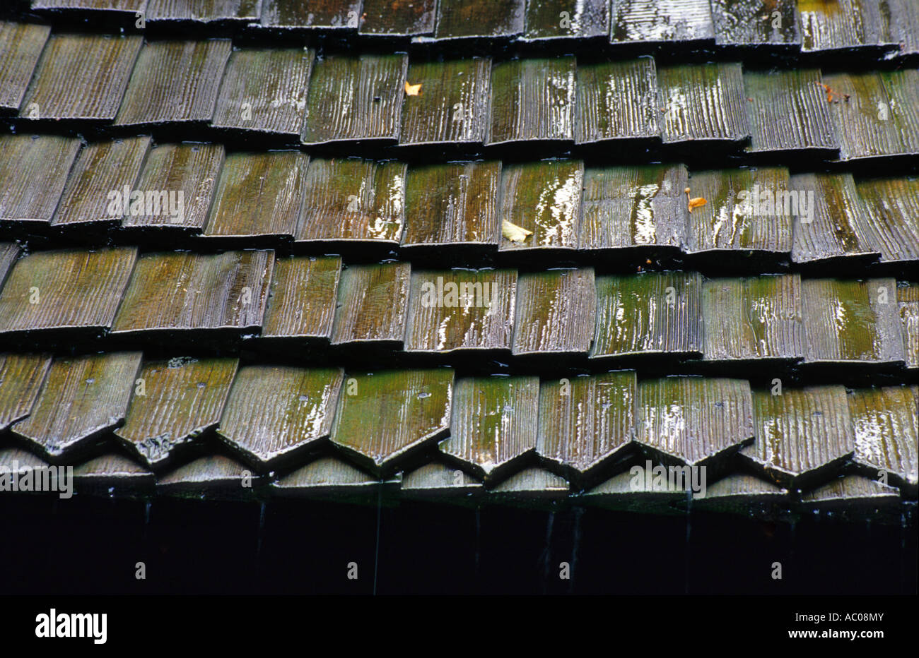 Il geek chiesa cattolica in Polonia rownia Foto Stock