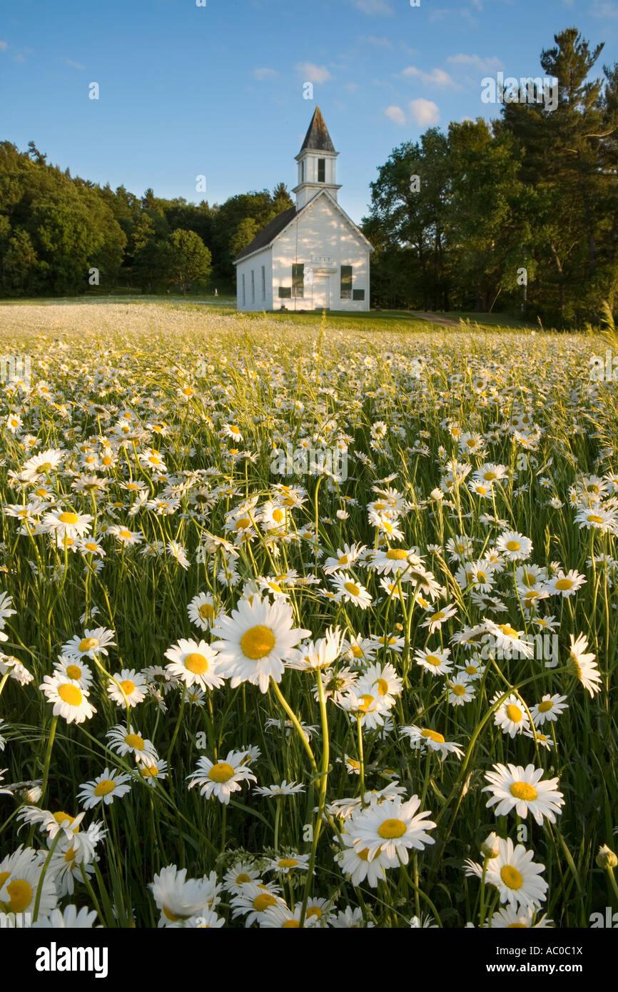 Campo di margherite bianco circondano il castello indiano chiesa costruita da Sir William Johnson Herkimer County Upstate New York Foto Stock