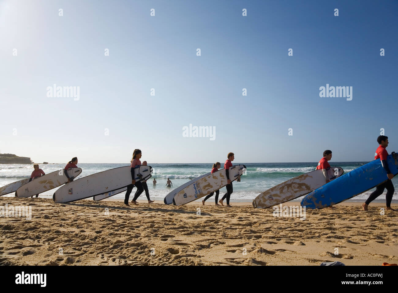 Scuola di Surf gli studenti portano le loro commissioni lungo la spiaggia di Bondi per una lezione di mattina Foto Stock