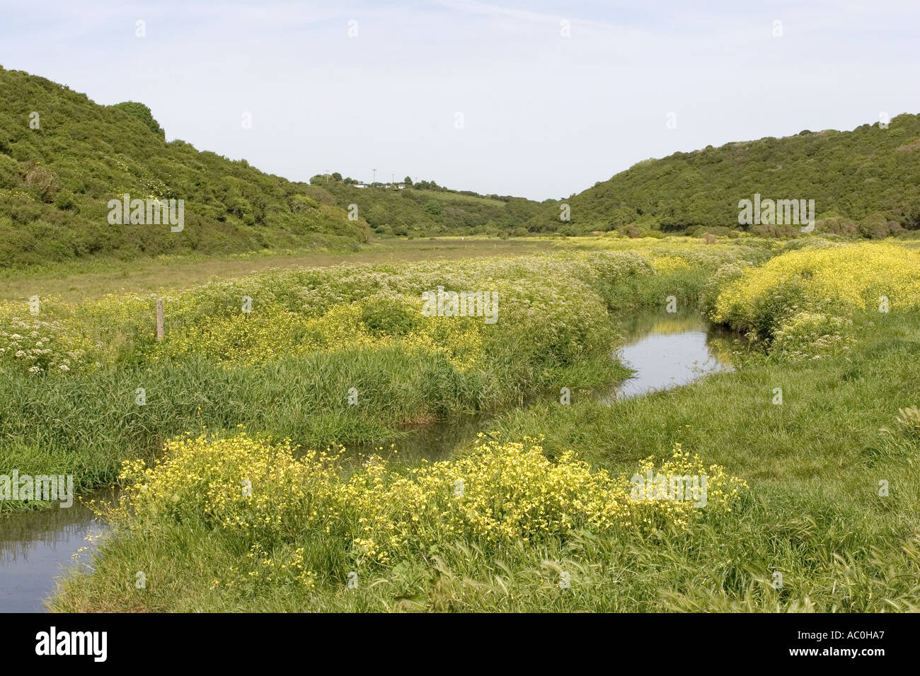 Il Galles Glamorgan Llantwit Major Col huw fiume passando attraverso Cwm Col huw Foto Stock