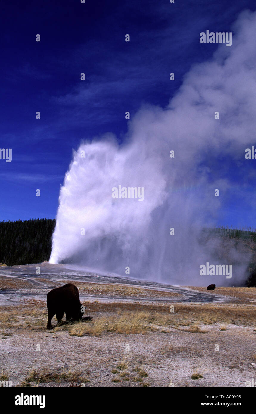 Parco Nazionale di Yellowstone Foto Stock